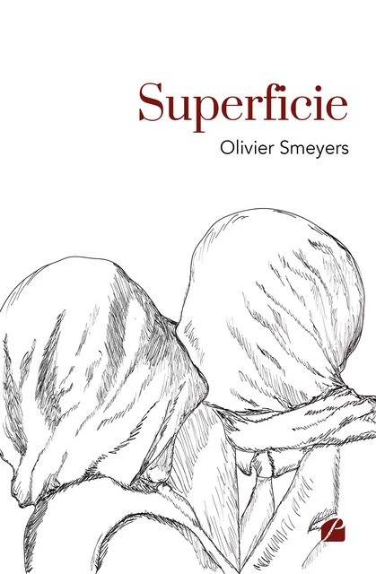 Superficie - Olivier Smeyers - Editions du Panthéon