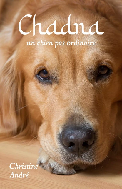 Chadna un chien pas ordinaire - Christine André - Librinova