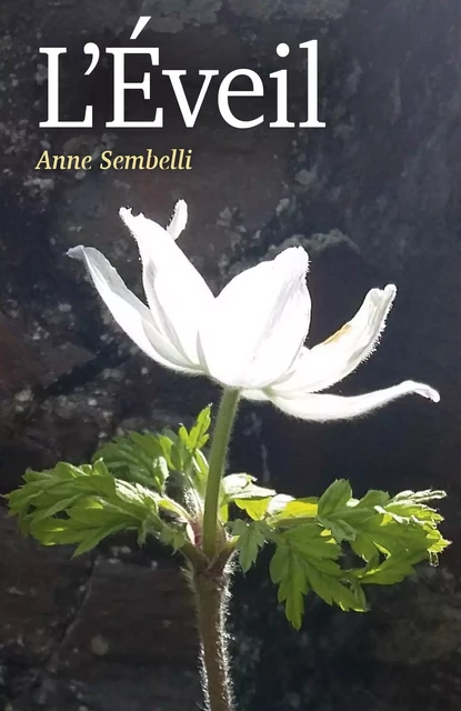 L'Éveil - Anne Sembelli - Librinova