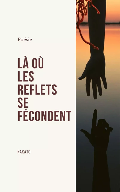 Là où les reflets se fécondent -  Nakato - Librinova