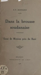 Dans la brousse soudanaise