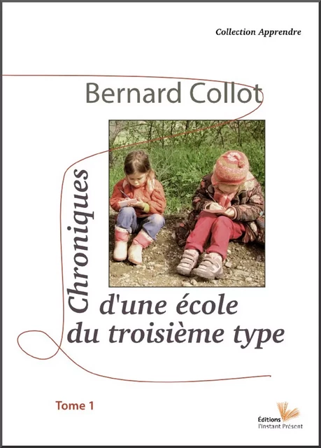 Chroniques d'une école du 3e type - Bernard Collot - Editions l'Instant Présent