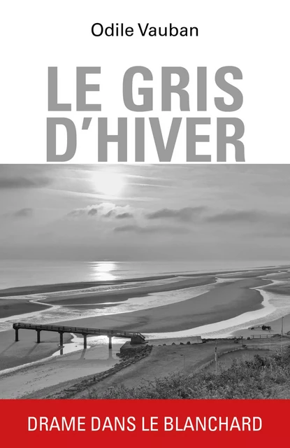 Le Gris d'hiver - Odile Vauban - Librinova