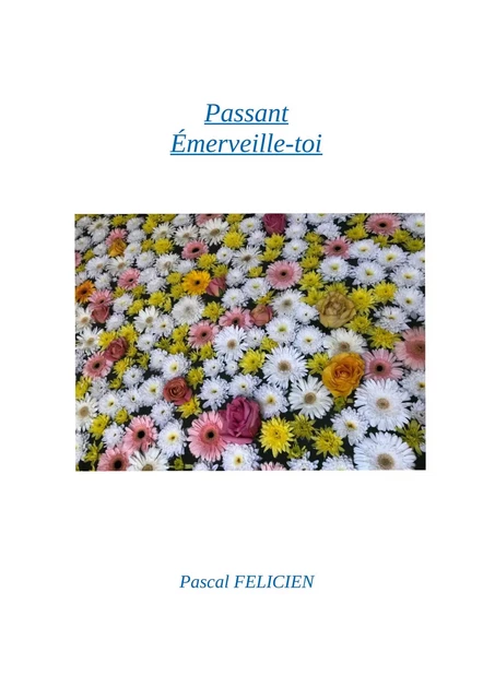 Passant, émerveille-toi - Pascal Félicien - Librinova