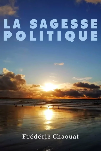 La Sagesse politique - Frédéric Chaouat - Librinova