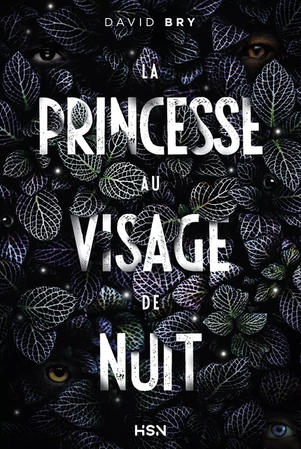 La Princesse au visage de nuit - David Bry - Les Éditions de l'Homme sans nom