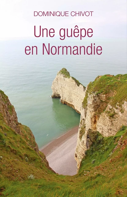 Une guêpe en Normandie - Dominique Chivot - Librinova