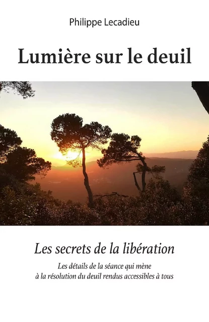 Lumière sur le deuil - Philippe Lecadieu - Librinova