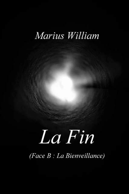 La Fin - Marius William - Librinova