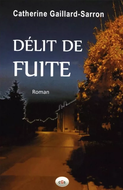 Délit de fuite - Catherine Gaillard-Sarron - Librinova