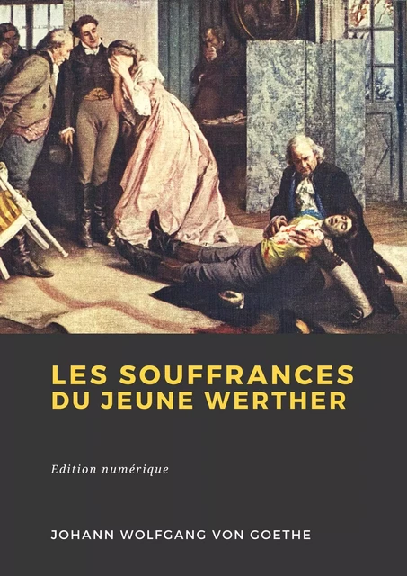 Les Souffrances du jeune Werther - Johann von Goethe - Librofilio