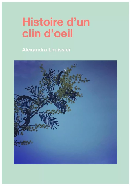 Histoire d'un clin d'oeil - Alexandra Lhuissier - Librinova