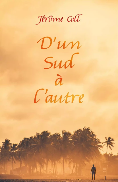 D'un Sud à l'autre - Jérôme Coll - Librinova