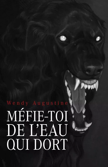 Méfie-toi de l'eau qui dort - Wendy Augustine - Librinova