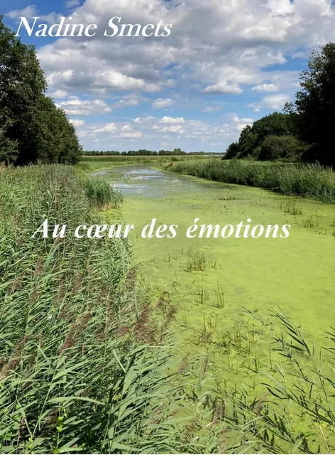 Au cœur des émotions - Nadine SMETS - Librinova