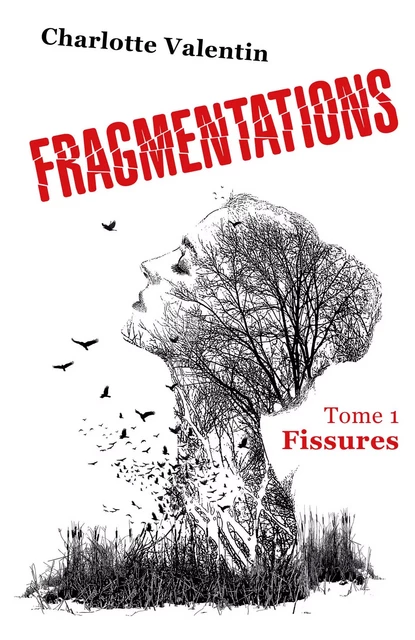 Fragmentations - Charlotte Valentin - Librinova