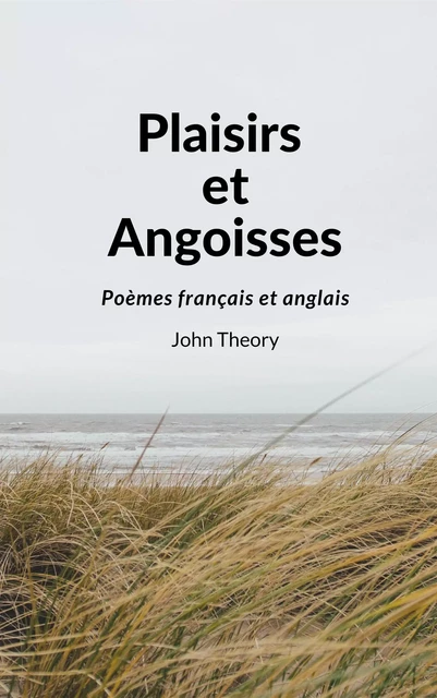 Plaisirs et Angoisses - John Theory - Librinova