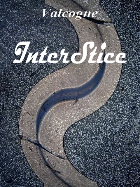 InterStice -  Valcogne - Librinova