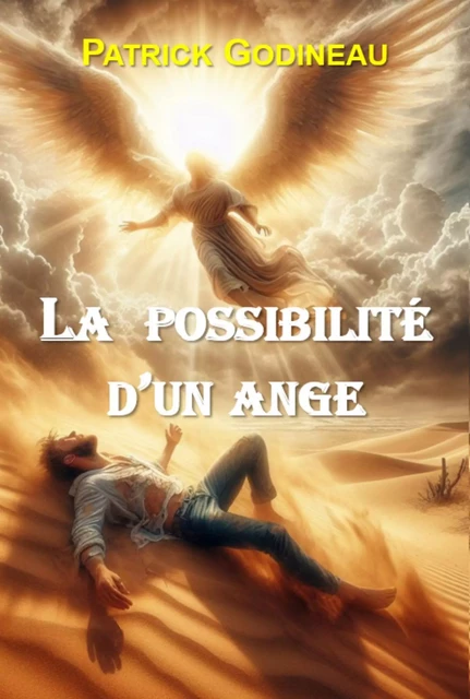 La Possibilité d'un ange - Patrick Godineau - Librinova