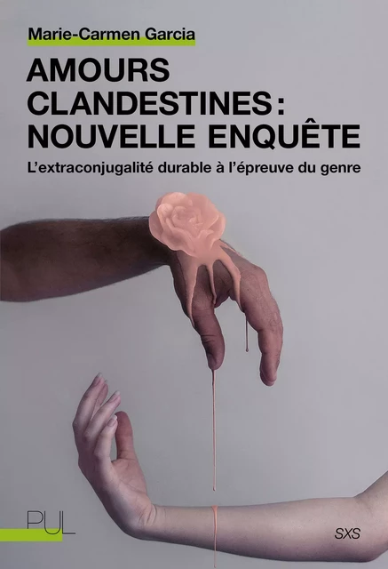 Amours clandestines : nouvelle enquête - Marie-Carmen Garcia - Presses universitaires de Lyon