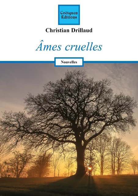 Ames cruelles - Christian Drillaud - Coëtquen Editions