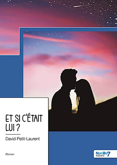 Et si c'était lui ? - David Petit-Laurent - Nombre7 Editions