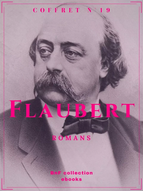 Coffret Flaubert - Gustave Flaubert - BnF collection ebooks