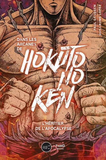 Dans les arcanes de Hokuto no Ken - Guillaume Lopez, Author Gaussem - Third Editions