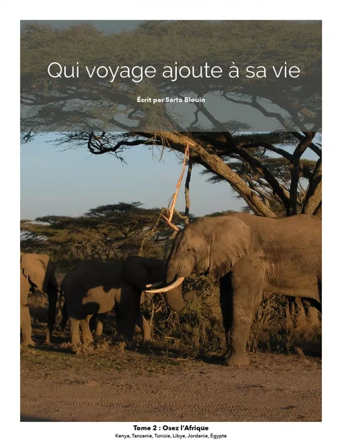 Qui voyage ajoute à sa vie: tome 2 - Osez L'Afrique - Sarto Blouin - Kampus Média