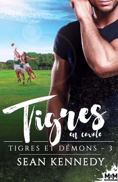 Tigres en cavale - Sean Kennedy - MxM Bookmark