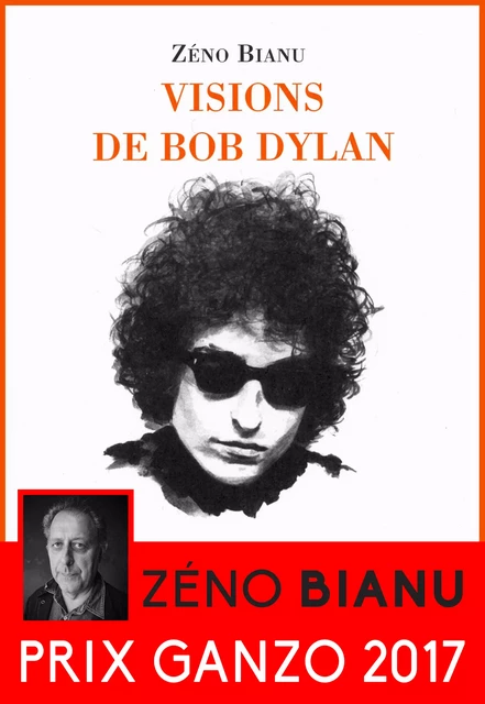 Visions de Bob Dylan - Zéno Bianu - Le Castor Astral éditeur