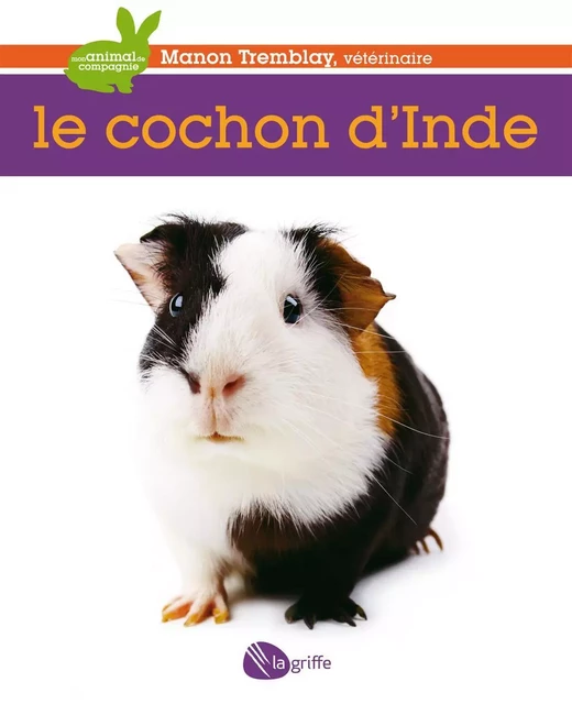 Le cochon d'Inde - Manon (Dr) Tremblay - La Griffe