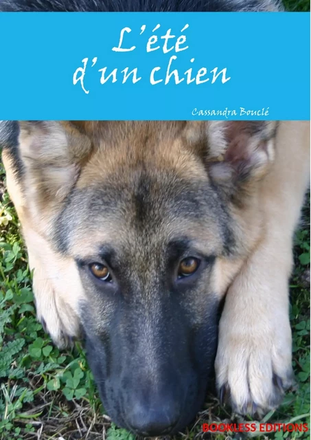 L'été d'un chien - Cassandra Bouclé - Bookless-editions