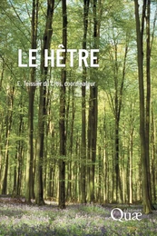 Le hêtre