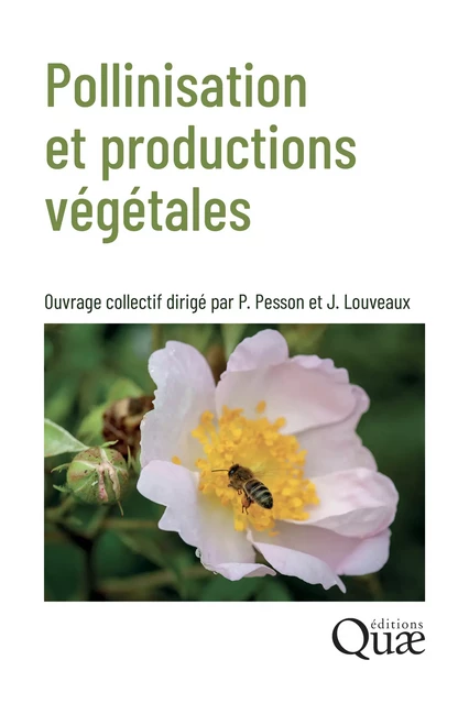 Pollinisation et productions végétales - Paul Pesson, Jean Louveaux - Quae