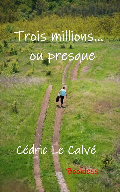 Trois millions... ou presque - Cédric Le Calvé - Bookless-editions