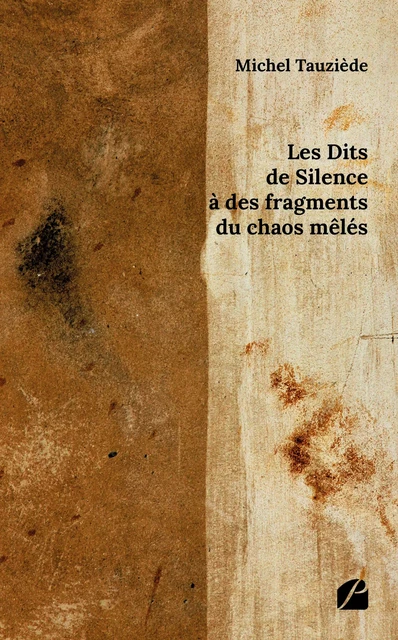 Les Dits de Silence à des fragments du chaos mêlés - Michel Tauziède - Editions du Panthéon