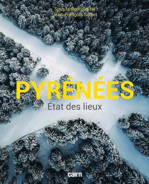 Pyrénées - État des lieux - Jean-François Soulet - Éditions Cairn