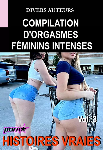 Compilation d'orgasmes féminins intenses Vol. 3 [Histoires Vraies] - Divers Auteurs - Ink book