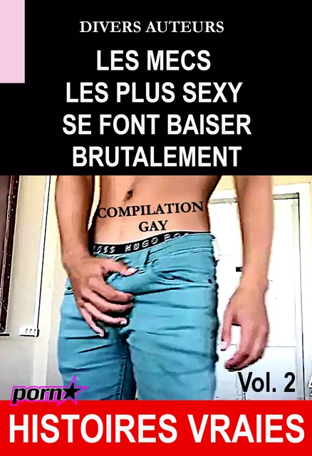 Les mecs les plus sexy se font baiser brutalement - Compilation Gay Vol.2 [Histoires Vraies] - Divers Auteurs - Ink book