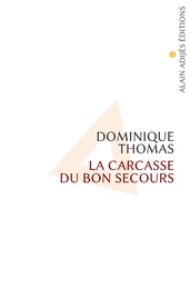 La carcasse du Bon Secours