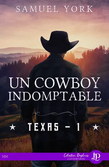 Un cowboy indomptable - Samuel York - Juno Publishing