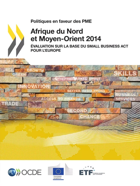 Politiques en faveur des PME Afrique du Nord et Moyen-Orient 2014 -  Collectif - OECD