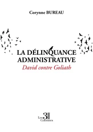 La délinquance administrative - David contre Goliath