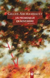 Un promeneur en novembre