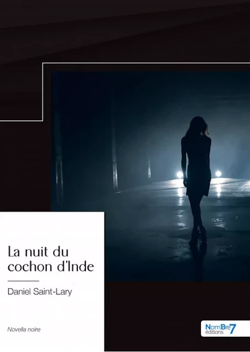 La nuit du cochon d'Inde - Daniel Saint-Lary - Nombre7 Editions