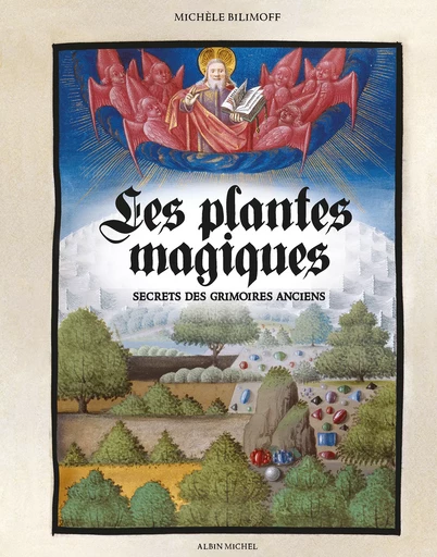 Les Plantes magiques - Michèle Bilimoff - Albin Michel