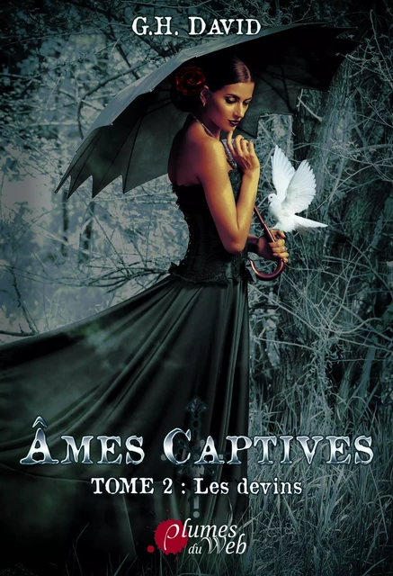 Âmes Captives - Tome 2 : les devins - G. H. David - Plumes du Web