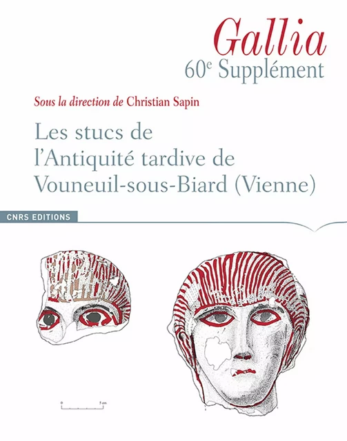 Les stucs de l’antiquité tardive de Vouneuil-sous-Biard (Vienne) -  - CNRS Éditions via OpenEdition