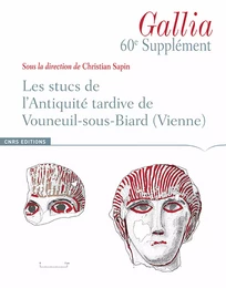 Les stucs de l’antiquité tardive de Vouneuil-sous-Biard (Vienne)